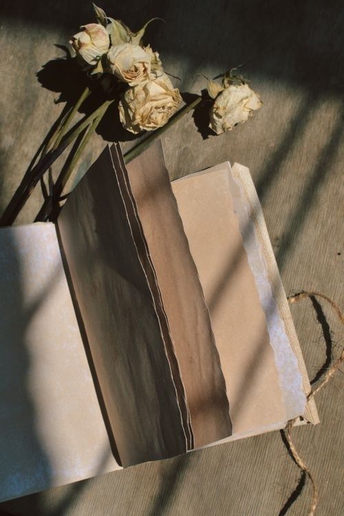 Öppen bok med torkade blommor och skuggor i varmt ljus